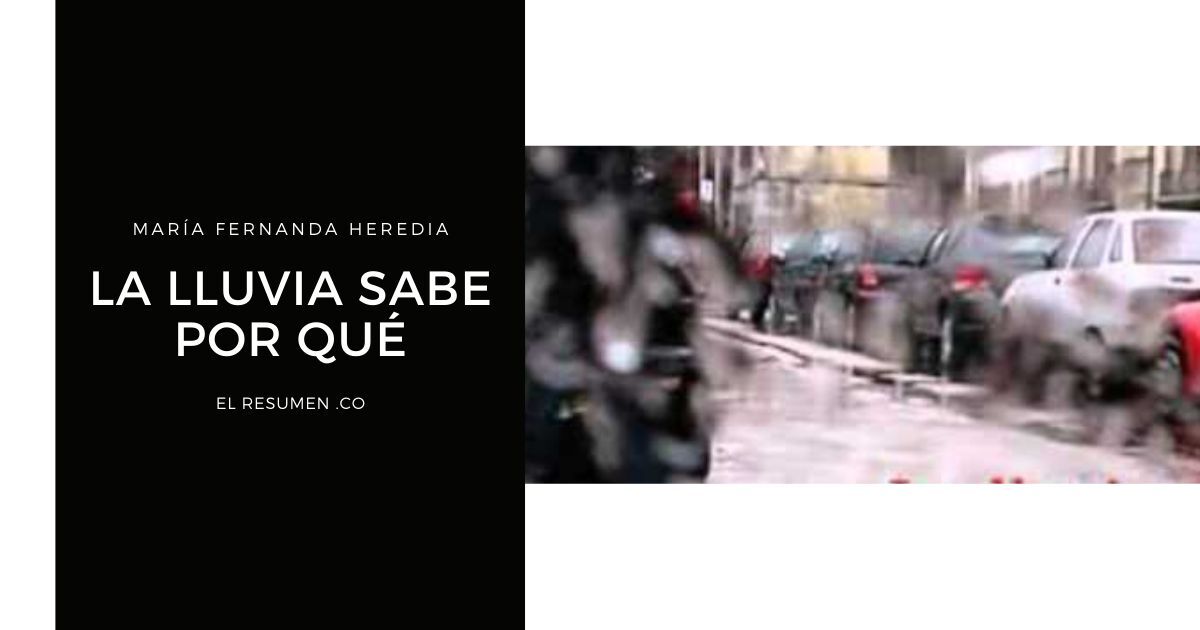 🥇 【 La lluvia sabe por qué resumen 】 ️El Resumen .CO