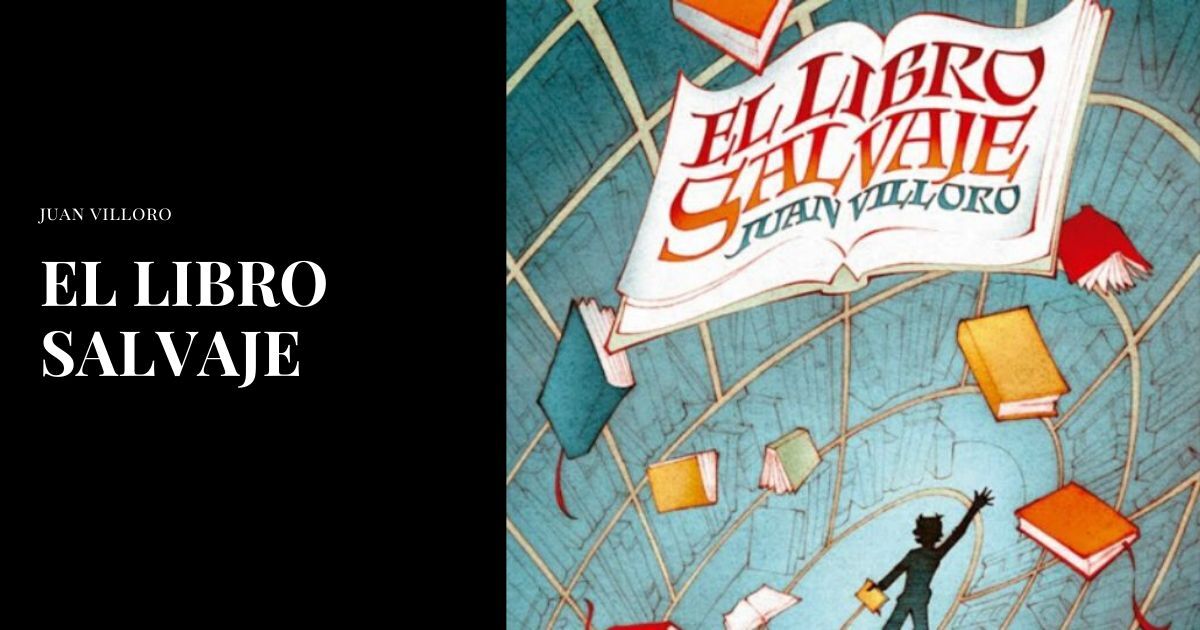 🥇 【 El Libro Salvaje Resumen 】 ️El Resumen .CO