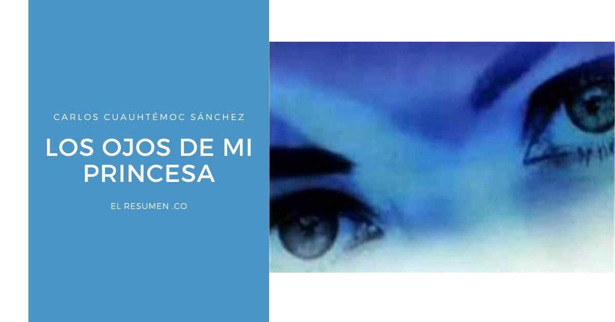 🥇 【 Los ojos de mi princesa resumen 】 ️El Resumen .CO